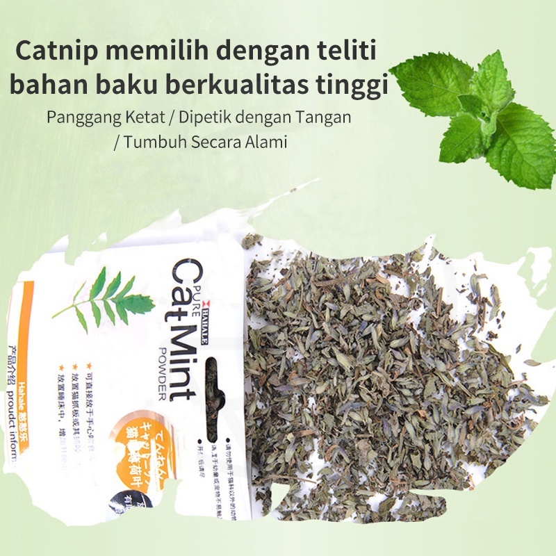 Catnip SASET Ganja Mainan Kucing Obat Catmint Penenang Serbuk Rumput Kering Cat nip Mint Stres Murah