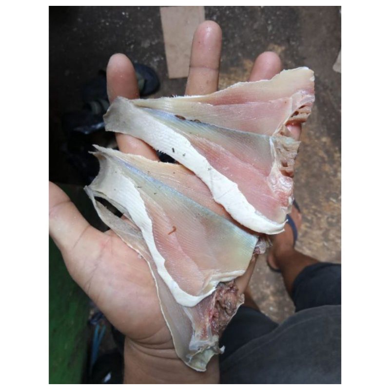 

Asin Pari Tipis 1kg