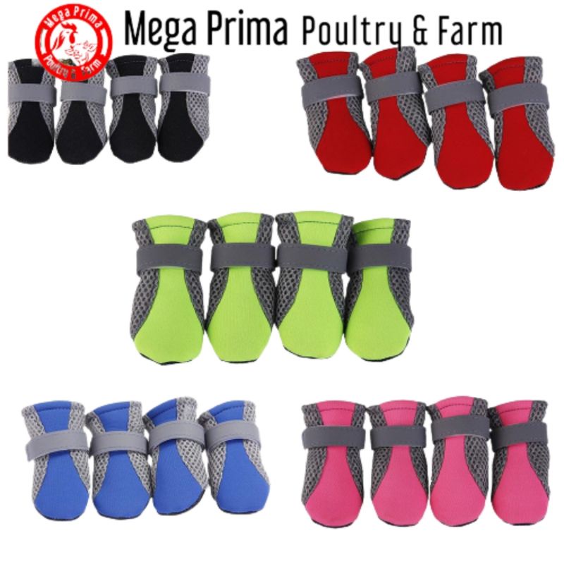 Sepatu kain Cat&Dog