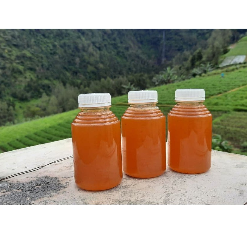

BISA COD | MADU HUTAN SUMBAWA ASLI TERMURAH