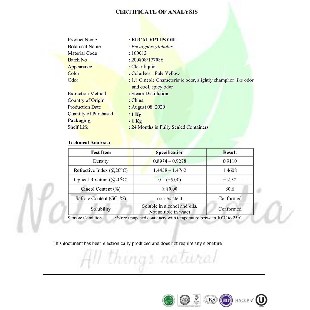 Pure Eucalyptus Essential Oil / Minyak Atsiri Esensial Eukaliptus Eukalyptus 1Liter