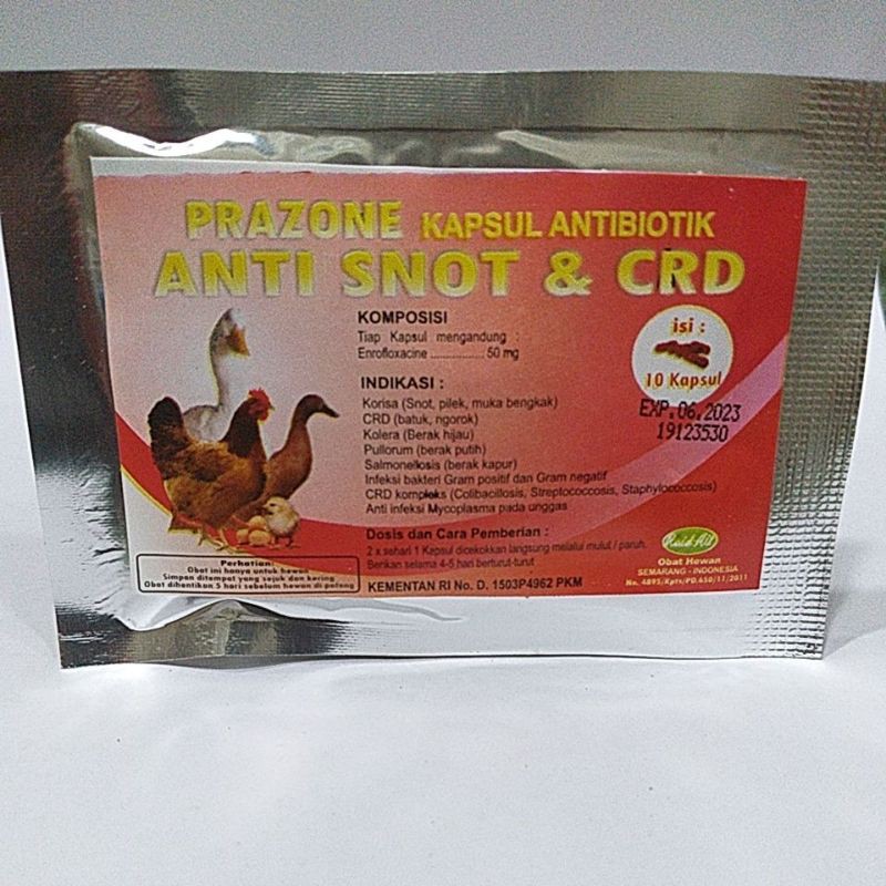 Obat snot pilek ngorok ayam merpati bebek