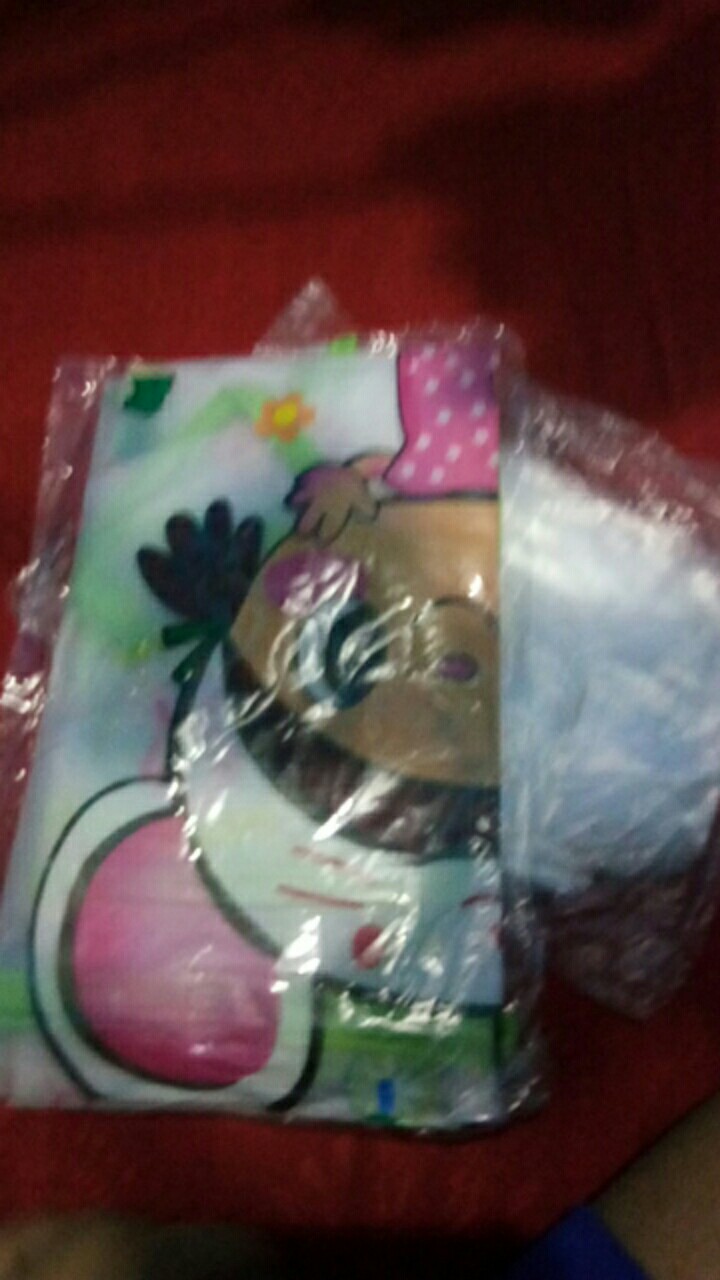 Hlokh886 Pembersih Sponge Cuci Piring 2 Sisi Spons Cuci Serbaguna Catty Spon Cuci Piring Sabut Busa