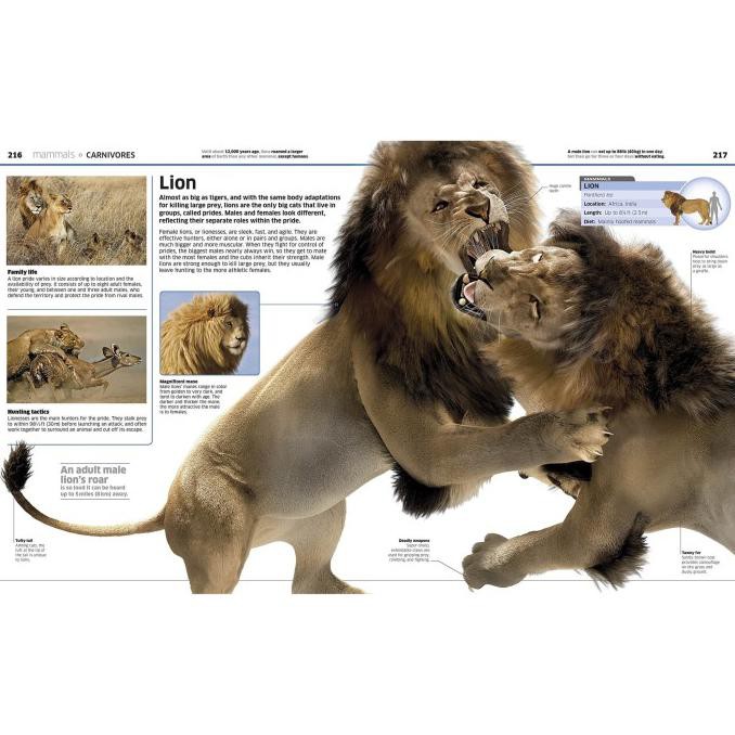 Dk - Knowledge Encyclopedia Animals