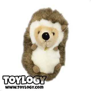 55 Gambar Hewan Landak Di Indonesia Gratis Terbaik