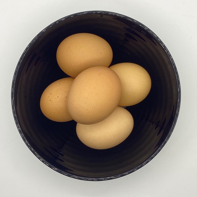 

Telur Ayam Negeri