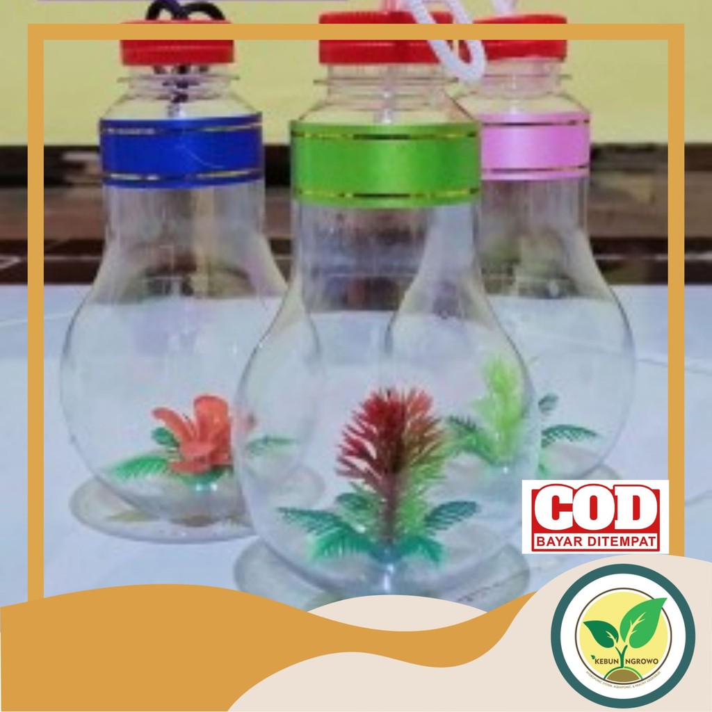 Aquarium mini botol mini murah ikan hias / ikan cupang