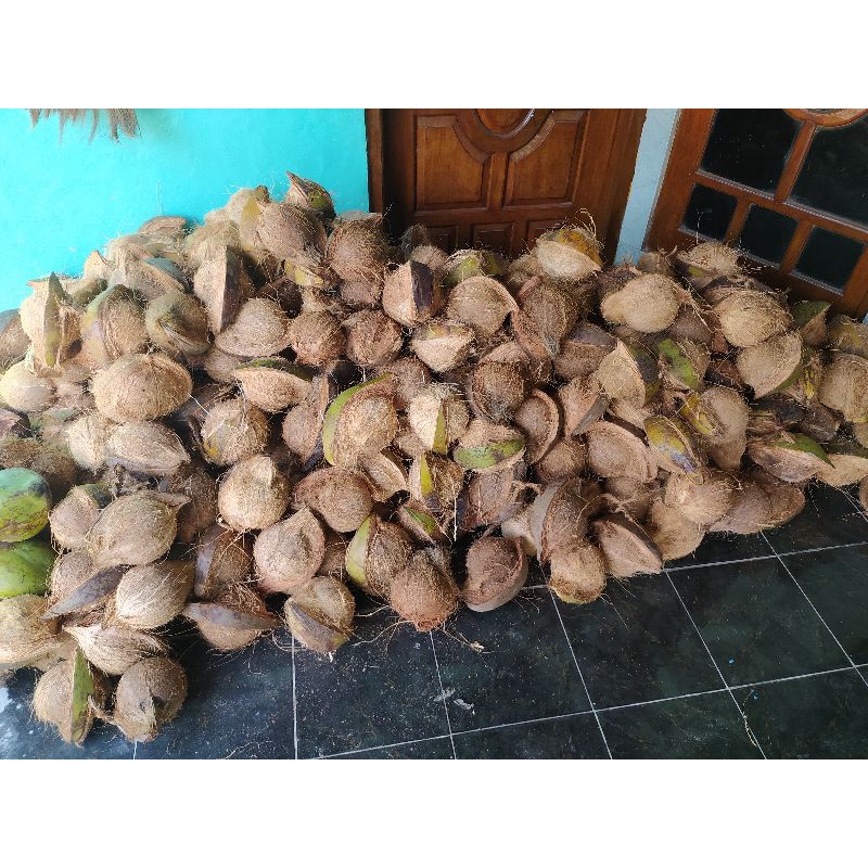 

Kelapa Butiran Tua Muda Murah Besar