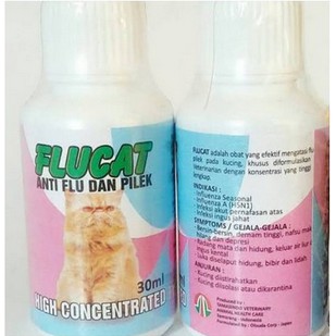 FLUCAT - OBAT FLU PILEK PADA KUCING OBAT FLU KUCING