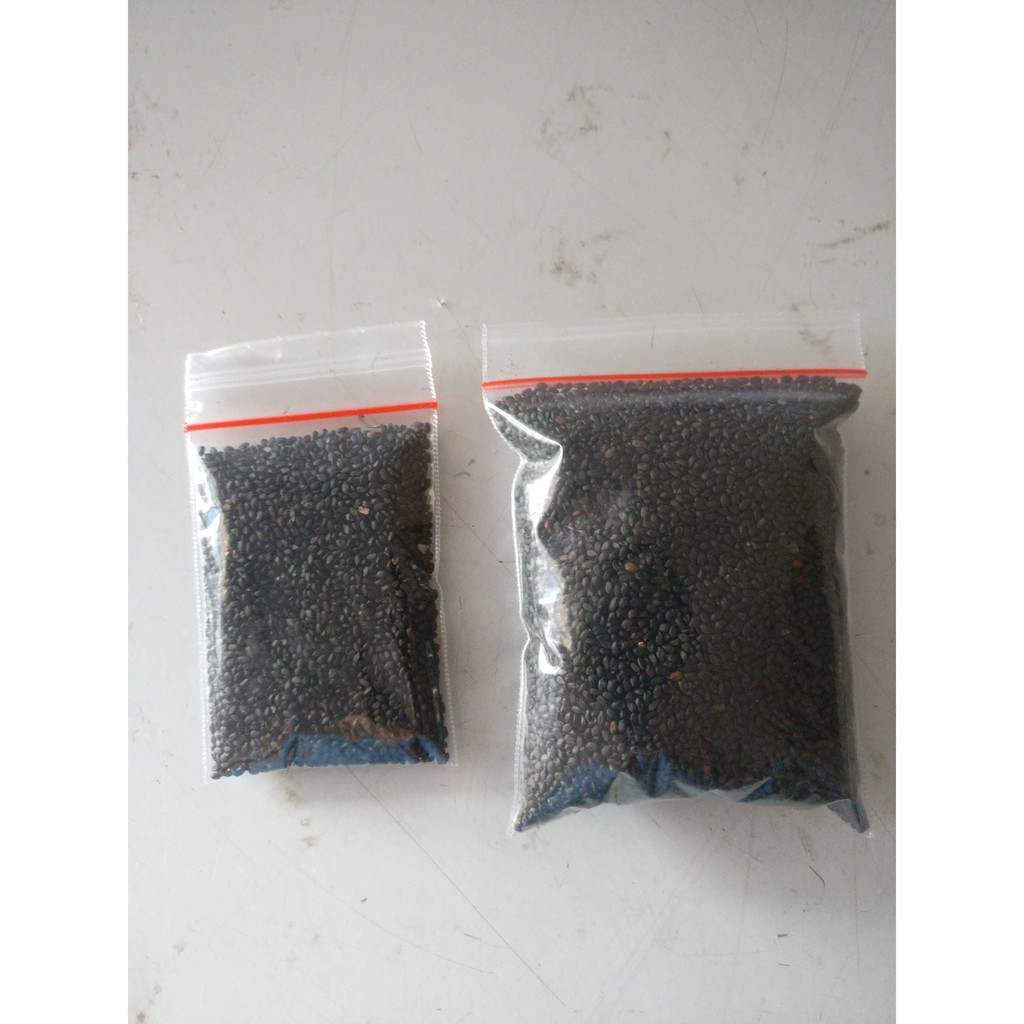 Biji Selasih / Basil Seed 500 GR Import Kualitas Premium