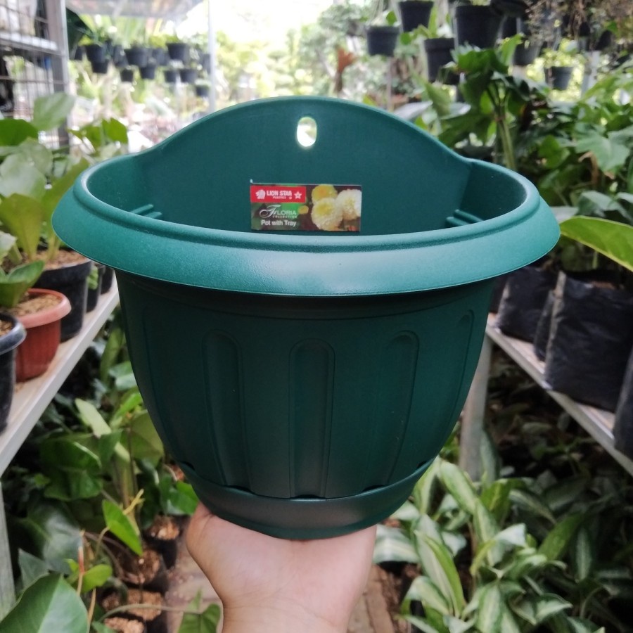 Pot Bunga Tempel Lion Star Lotus No. 6 Hijau / Pot Dinding