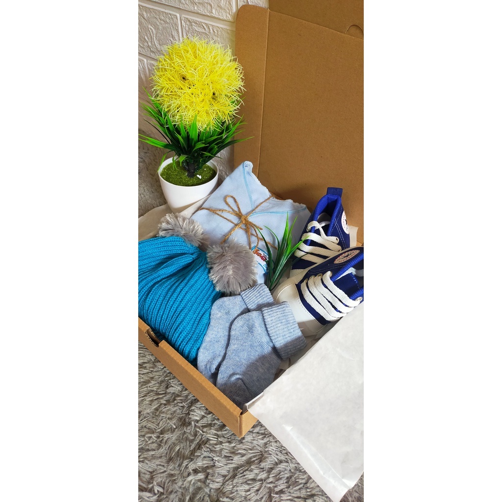 Hampers bayi new born kado buat lahiran parcel bayi laki-laki dan perempuan