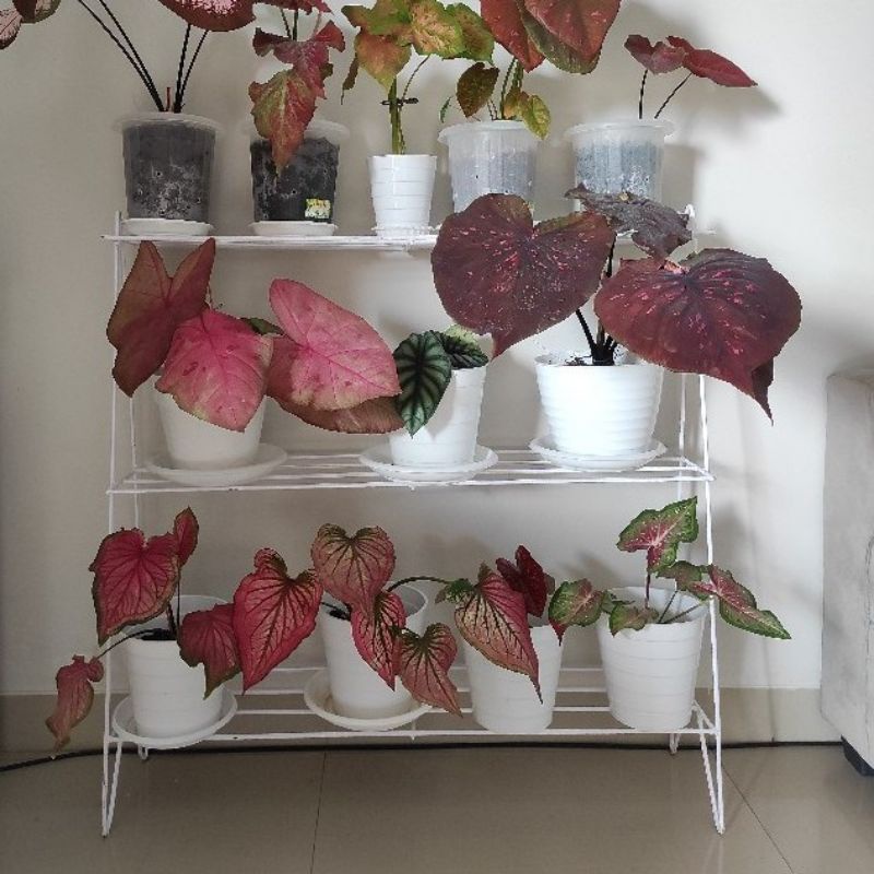 rak bunga besi susun 3 minimalis besi 6mm