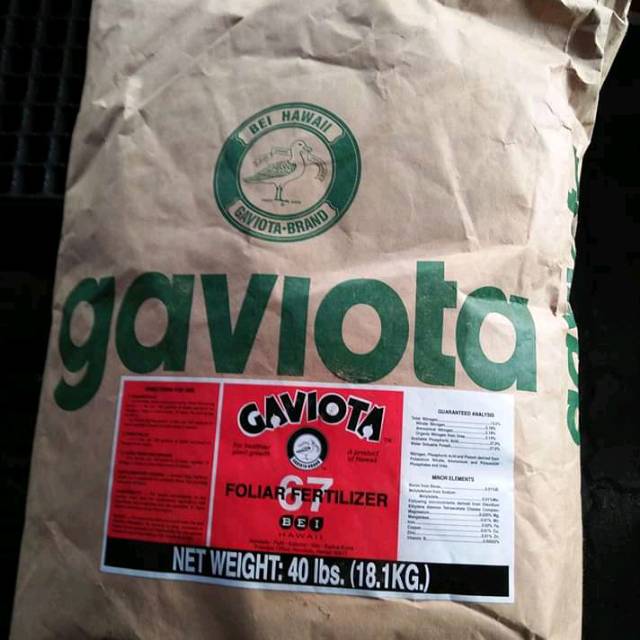 Gaviota 67 1kg promo