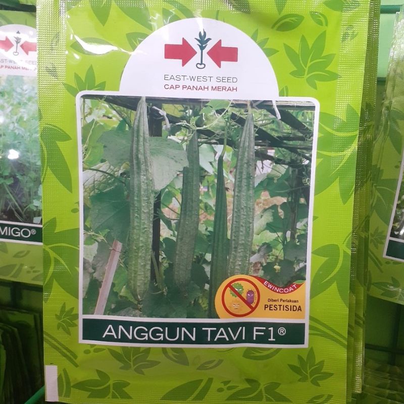 Benih oyong/Gambas Anggun tavi 75 butir