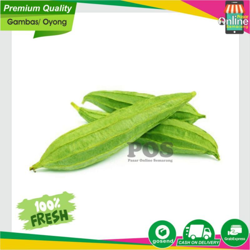 

Sayur Gambas / Sayuran Gambas / Oyong / Fresh /Segar /Murah /Belanja Sayur Sayuran Semarang / Cod