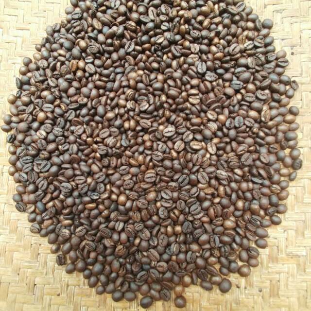 

Kopi robusta