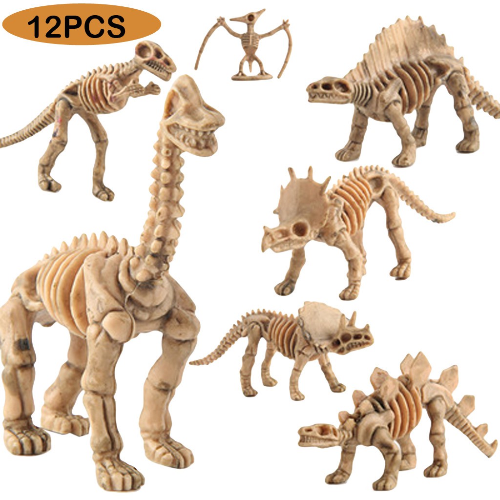 Hot Sale Fosil  Dinosaurus  Gambar Mainan  Model Hewan 