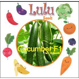 Benih / Bibit / Biji Lulu Seeds Cucumber F1