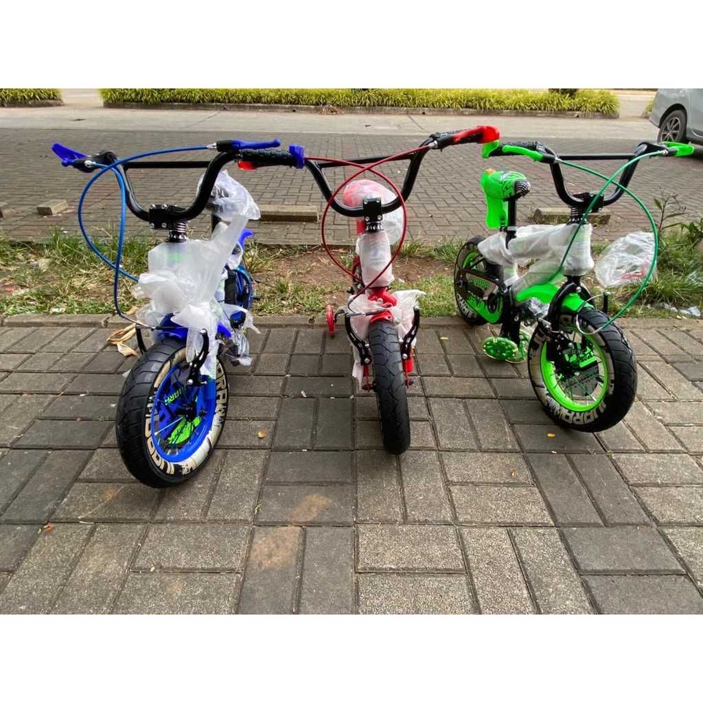 Sepeda Anak BMX Juara 12x3.0 Fatbike