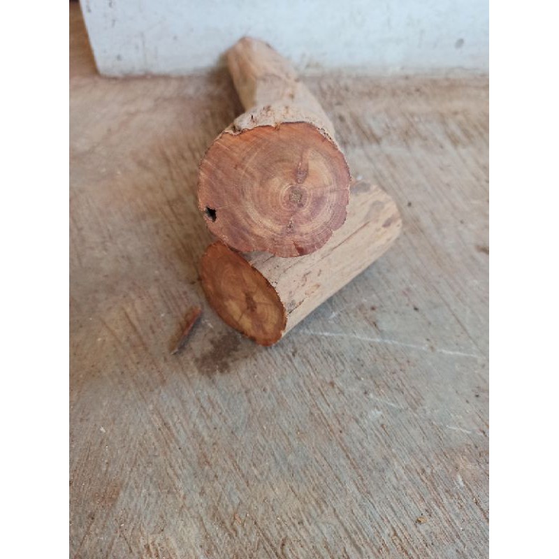 bahan kayu raja/agatis 1kg