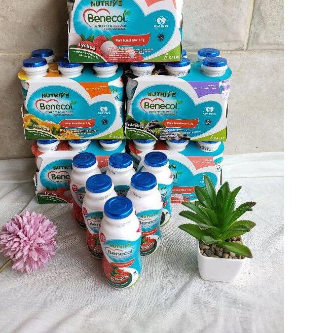 

Grand Seller|LR32|BENECOL 6 BOTOL