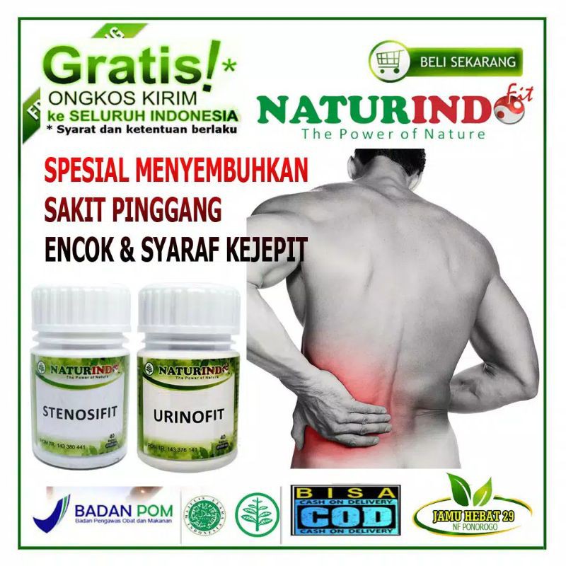 Obat Sakit Pinggang Syaraf Kejepit Encok Kecetit Belakang Ampuh