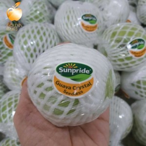 Jual Jual Jambu Kristal Jual Buah Segar Jambu Kristal Sunpride