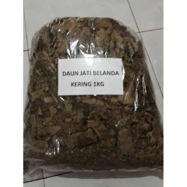 

Daun Jati Belanda 1kg - Teh Daun Jati Belanda - Teh Pelangsing Alami