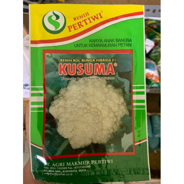 benih kol bunga / kembang kol  kusuma pertiwi isi 2200 biji