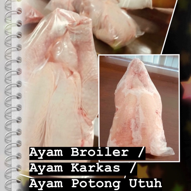 

Ayam Potong Beku / Ayam Utuh / Ayam Karkas / Ayam Broiler / Broiler Chicken