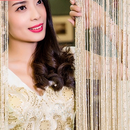 Tirai benang gliter Dekorasi rumah pernikahan benang perak cantik berkilau 1X2M/Tirai benang/tirai t