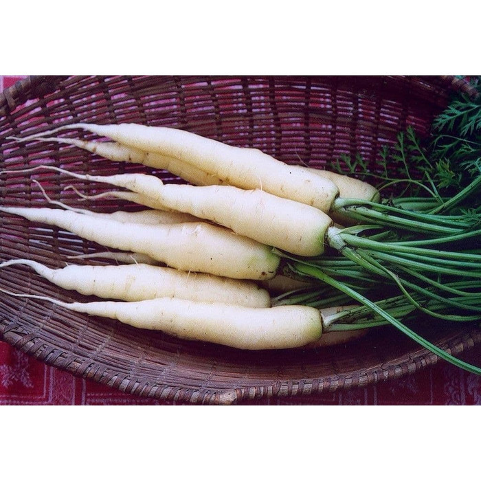 Haira Seed Bibit-Biji Wortel Putih Lunar White