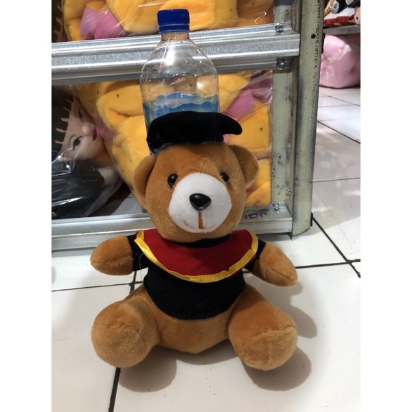 Boneka Beruang Wisuda Hadiah Wisuda SNI