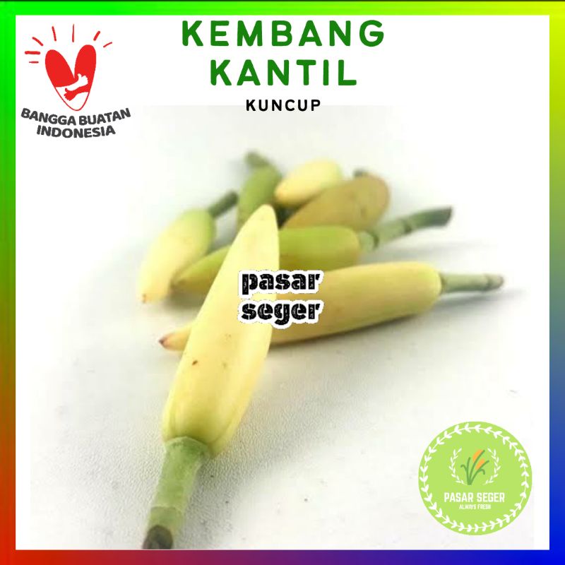

bunga / kembang kantil kuncup [1 pcs]