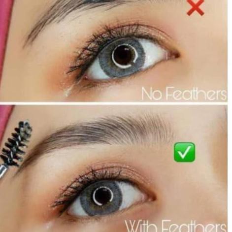 ♥ Feathers Brow By Amira Ho ✤