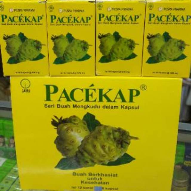 PACEKAP SARI BUAH MENGKUDU