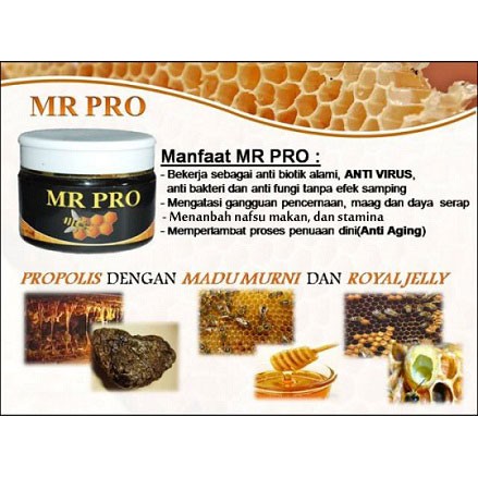 

penambah nafsu makan/mr PRO/madu sehat