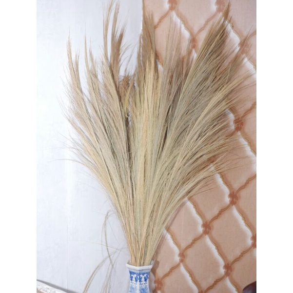 Dekorasi Rustik Tanaman Daun Kering Sikas Palem Gandum Ilalang