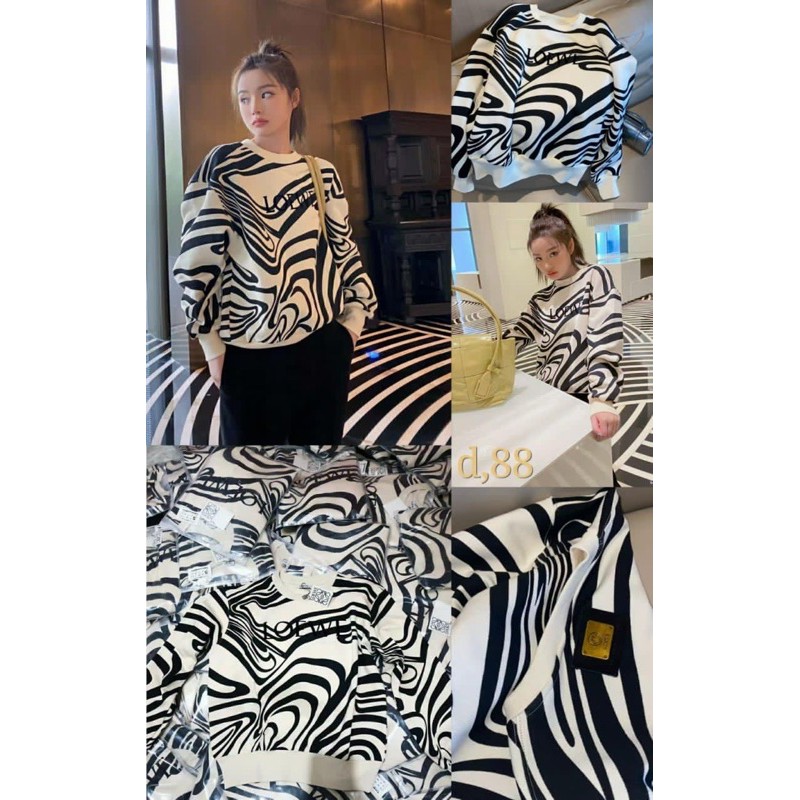 Sweater Loewe D88