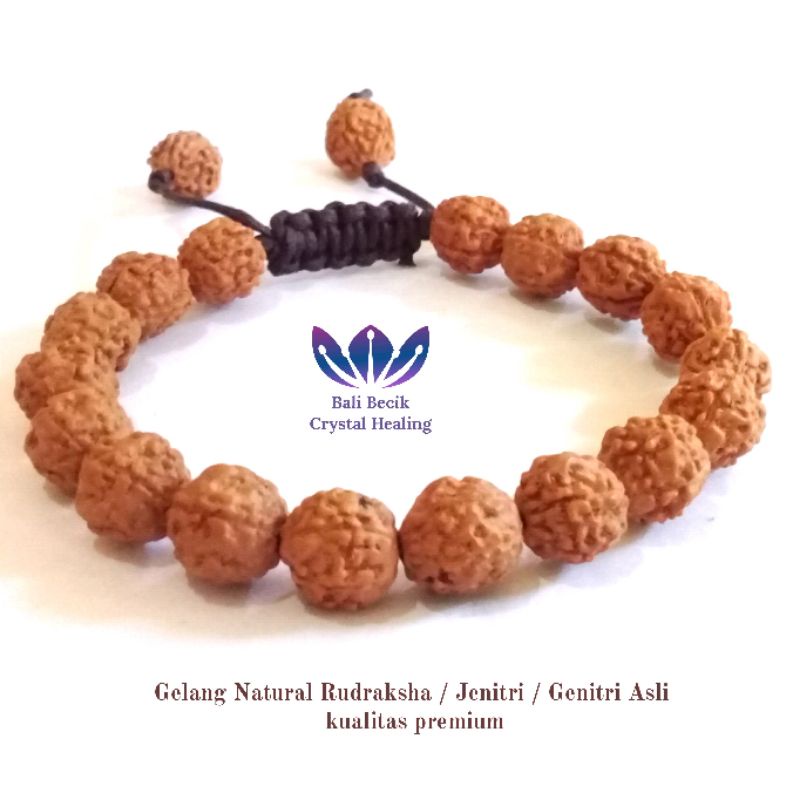 Gelang Natural Rudraksha Jenitri Genitri Asli