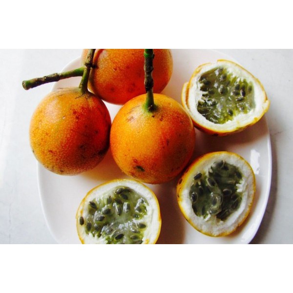 

Buah Markisa Manis Segar Fresh 1 Kg