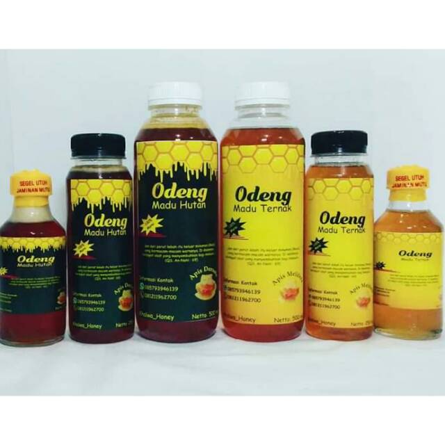 

Madu hutan liar #maduasli #maduhutanliar #maduaslimurah #jualmadumurah