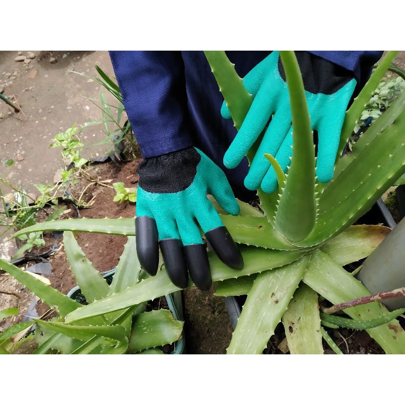 Sarung Tangan Kebun (Garden Gloves)