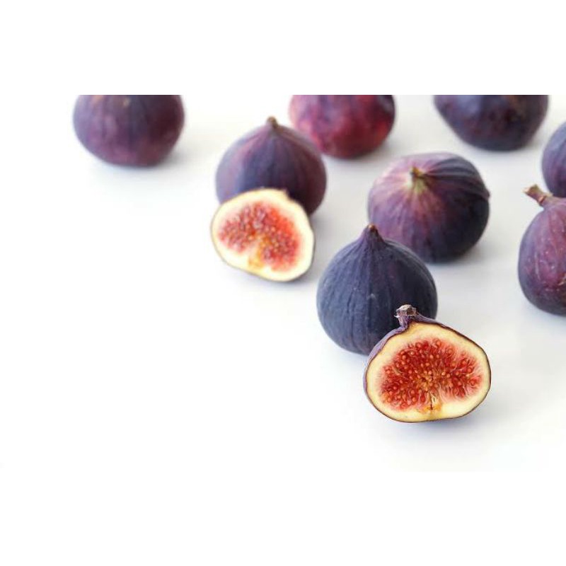 cangkokan pohon buah tin mudah berbuah jenis black jack