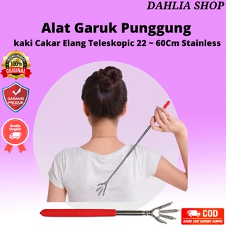 9900 Gambar Cakar Unggas Gratis Terbaru