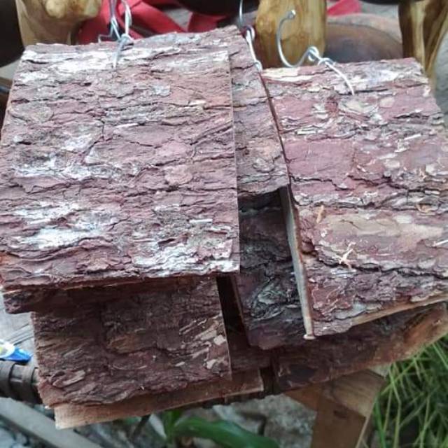 

Papan pinus mini media tempel anggrek