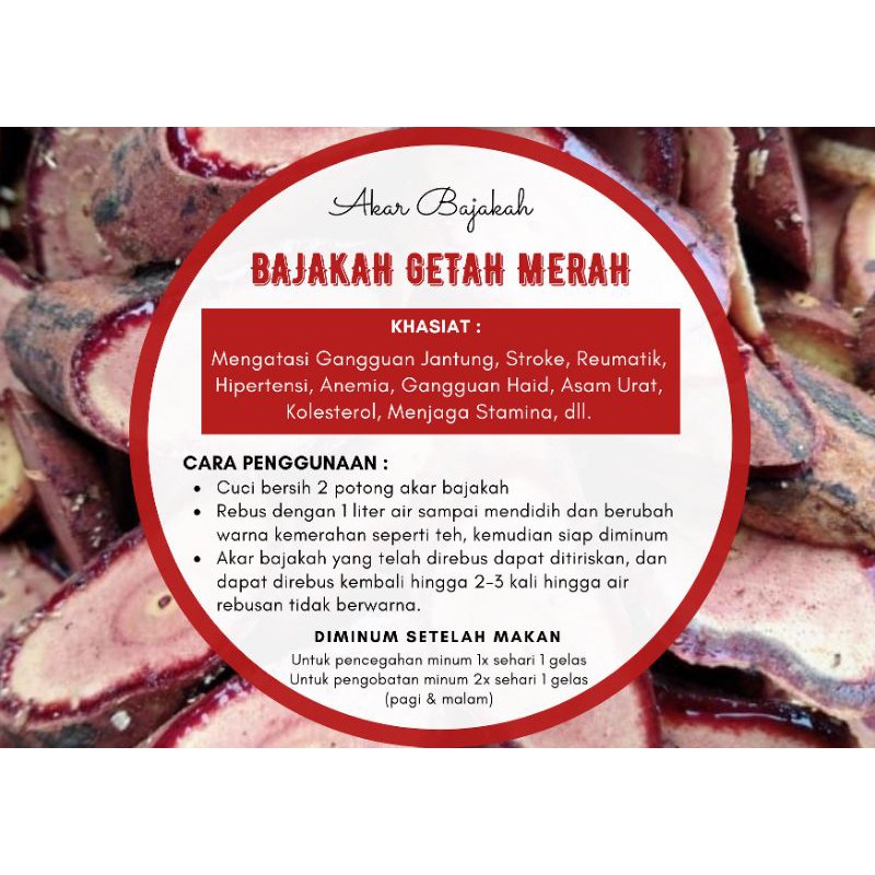 

Akar Bajakah Getah Merah