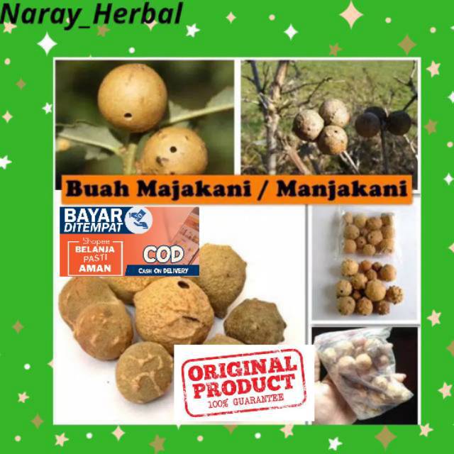 

(BISA COD) Buah Manjakani Majakani majaan oak galls masalah kewanitaan 25gr