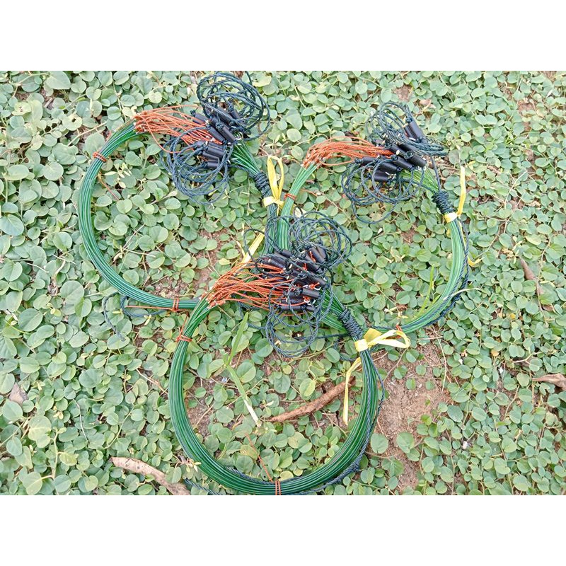 Jerat Gantung Jebakan Burung Ruak2/ Wak-wak/ Truwok/ Tikusan